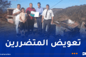 تواصل عملية تسليم مقررات الإعانات المالية لفائدة المتضررين من الحرائق