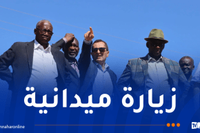 وفد نيجري يزور عددا من المشاريع والمنشآت بالعاصمة