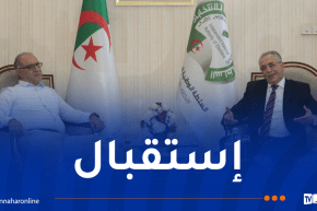 ساعد عروس يستقبل المدير العام للتلفزيون الجزائري
