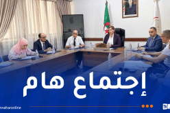 وزيرة التضامن تجتمع مع المدراء الولائيين لمتابعة تنفيذ تعليمات رئيس الجمهورية