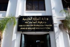 يوظفون بين 0 و5 عمال فقط.. طلبات استيراد بأزيد من 130 مليار دولار