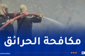 إخماد 12 حريقا إلى غاية صبيحة اليوم الأربعاء