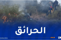 خلال 24 ساعة.. إخماد 25 حريقا عبر عدة ولايات