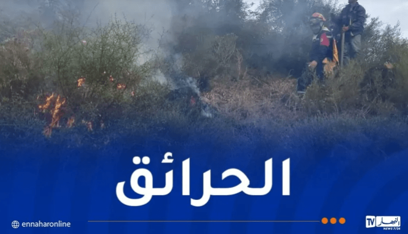 خلال 24 ساعة.. إخماد 25 حريقا عبر عدة ولايات