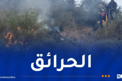 الحماية المدنية: إخماد كل الحرائق المندلعة