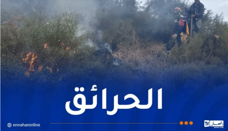 الحماية المدنية: إخماد كل الحرائق المندلعة