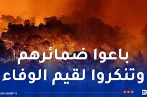الجزائر مستهدفة.. حين تتحول الخيانة إلى سلاح لضرب الوطن