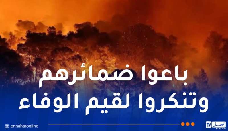 الجزائر مستهدفة.. حين تتحول الخيانة إلى سلاح لضرب الوطن