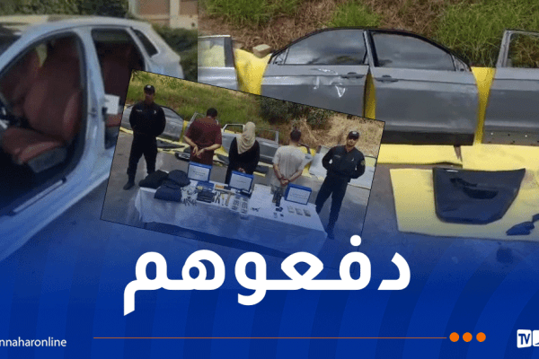 إيداع 3 متهمين الحبس المؤقت في قضية سرقة أبواب سيارة “أودي”