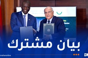 الجزائر وجنوب إفريقيا تتفقان على تسريع تنفيذ الشراكة الاستراتيجية