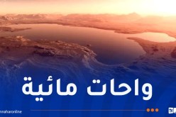 اكتشاف عشرات الواحات في المريخ !