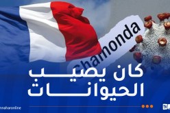 فرنسا تسجل أول إصابة بشرية بفيروس “شاموندا”