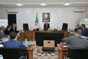 سعيود يأمر بتحويل استيراد سيارات الخواص من مستغانم إلى جن جن