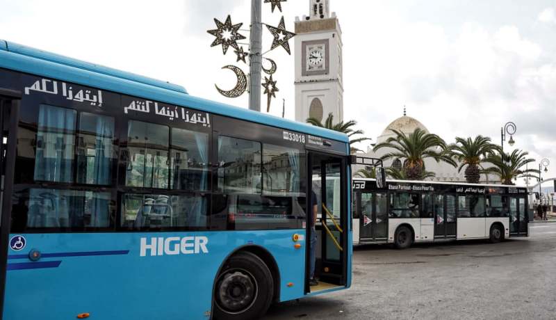 إيتوزا.. برنامج خاص لنقل زوار سيلا 2026
