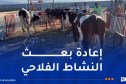 تعويض الفلاحين المتضررين من حرائق الغابات بولايتي جيجل وبجاية