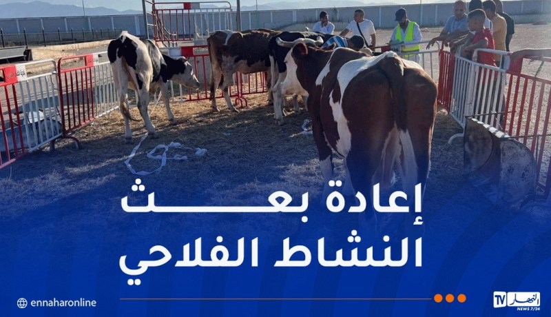 تعويض الفلاحين المتضررين من حرائق الغابات بولايتي جيجل وبجاية