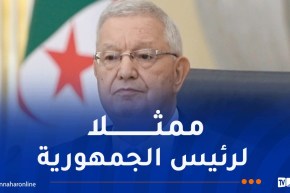 ناصري يشارك في قمة الدول المؤسسة للنيباد بمصر