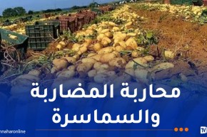 اتحاد التجار والحرفيين يثمّن تسقيف أسعار البطاطا