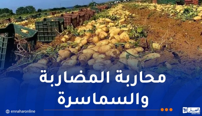 اتحاد التجار والحرفيين يثمّن تسقيف أسعار البطاطا