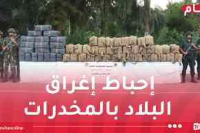 بشار.. القضاء على مهرب وحجز 1660 كلغ من الكيف المعالج