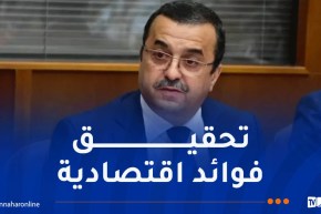 عرقاب: مشروع أنبوب الغاز العابر للصحراء يحمل بعدا إفريقيا يرتبط بتثمين الموارد والإندماج الطاقوي