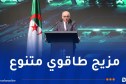 داودي: الجزائر همزة وصل طاقوية بين إفريقيا وأوروبا بفضل موقعها الجغرافي ومواردها الطاقوية