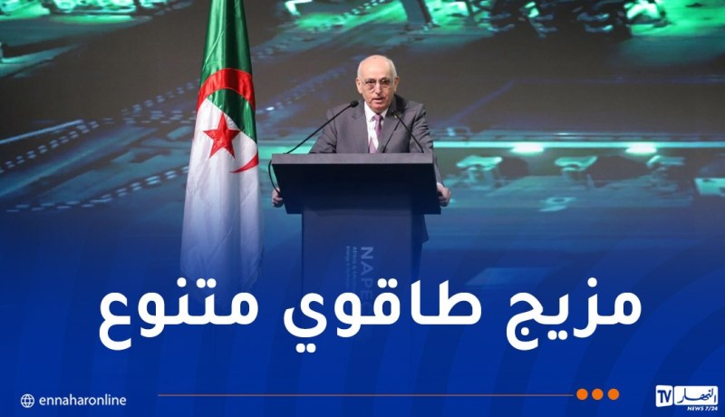 داودي: الجزائر همزة وصل طاقوية بين إفريقيا وأوروبا بفضل موقعها الجغرافي ومواردها الطاقوية