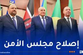 عطاف يؤكد تمسّك الجزائر بالموقف الإفريقي المشترك