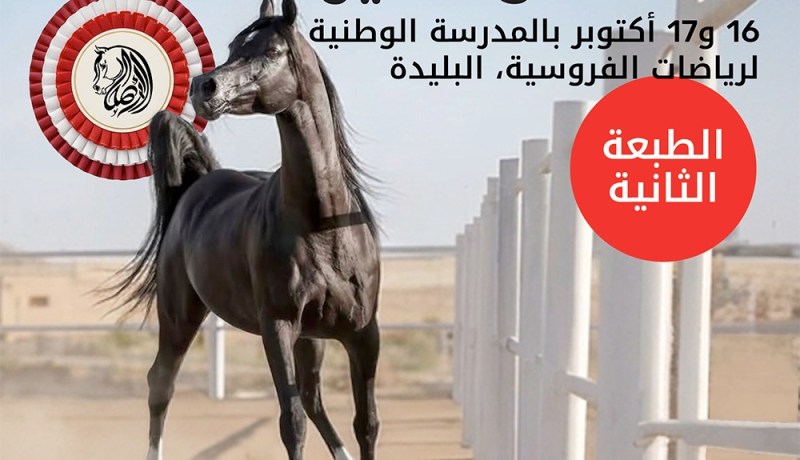 أريدُ الجزائر ترافق الطبعة الثانية من البطولة الوطنية للخيل العربي 