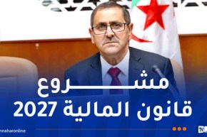 لجنة المالية بالمجلس الشعبي الوطني تستمع إلى المدير العام للجمارك