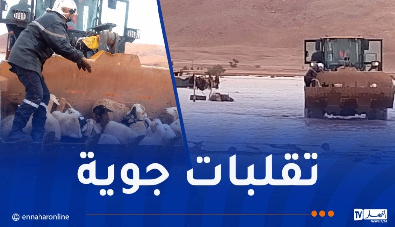 تقلبات جوية.. تحرير مركبات عالقة وإنقاذ 120 رأس غنم محاصرة بالمياه