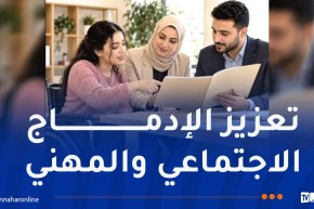 وزارة التضامن: إعداد النظام الداخلي النموذجي للجنة الولائية للتربية الخاصة والتوجيه المهني