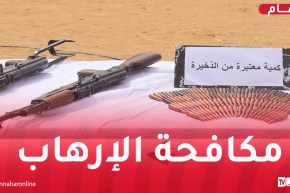 توقيف 9 عناصر دعم للإرهاب واسترجاع أسلحة وذخيرة