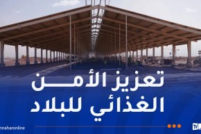 مشروع “بلدنا الجزائر”.. أولى شحنات الأبقار ستصل نهاية نوفمبر القادم