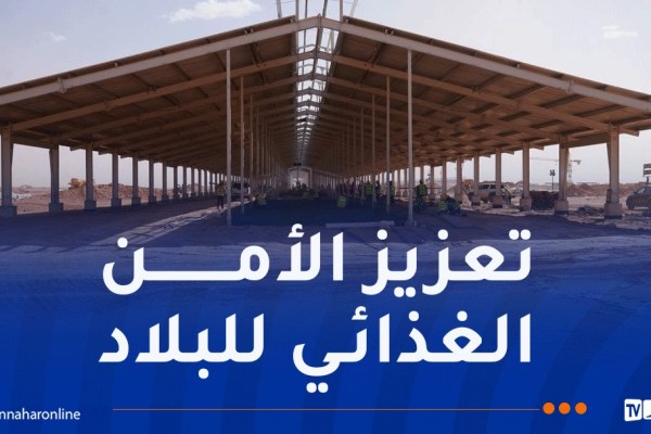 مشروع “بلدنا الجزائر”.. 35 ألف بقرة ستصل يوم 25 نوفمبر القادم