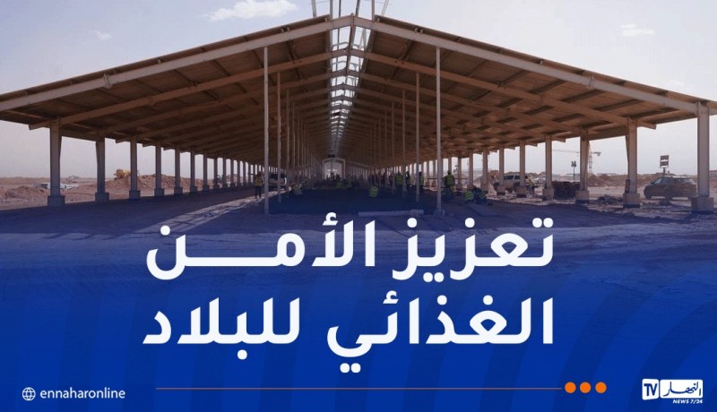 مشروع “بلدنا الجزائر”.. أولى شحنات الأبقار ستصل نهاية نوفمبر القادم