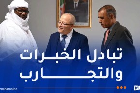 وزير الإتصال يستقبل رئيس المرصد الوطني النيجري للاتصال