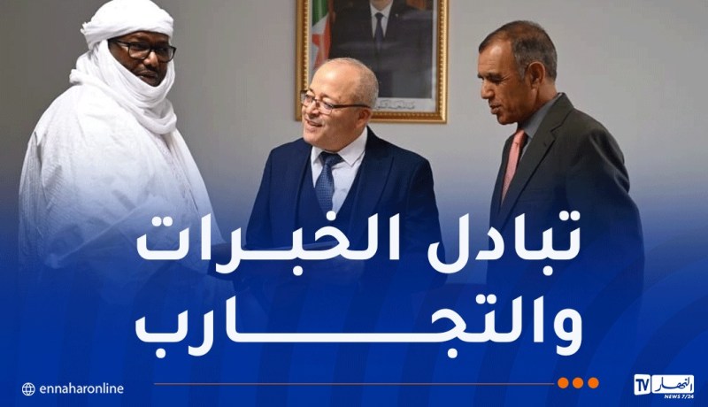 وزير الإتصال يستقبل رئيس المرصد الوطني النيجري للاتصال