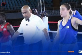 ذهبية و3 فضيات وبرونزية.. حصيلة سيدات الجزائر في بطولة إفريقيا للملاكمة