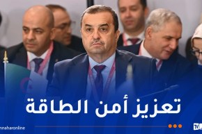 عرقاب: الجزائر ملتزمة بتعزيز التعاون الدولي في مجال الغاز واحترام سيادة الدول
