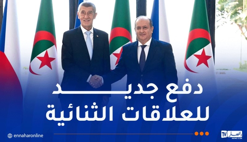 الوزير الأول يُجري محادثات ثنائية مع نظيره التشيكي