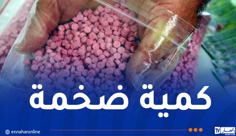 إحباط إدخال قرابة قنطار من “الإكستازي” مموّهة في تجاويف مركبة عبر ميناء العاصمة