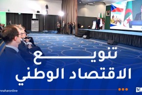الوزير الأول: الجزائر توفر فرصا استثمارية واعدة وشراكات اقتصادية متنوعة