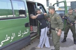 سوق أهراس.. عصابة شوشو في قبضة الدرك الوطني بأولاد إدريس