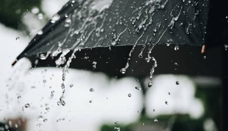 أمطار تصل إلى 40 ملم على هذه الولايات 