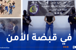 الشلف… فيديو متداول يقود إلى توقيف شاب متورط في عدة قضايا