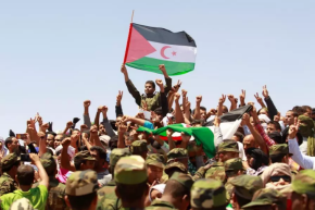 مسؤول صحراوي: الأمم المتحدة انتصرت للشرعية الدولية