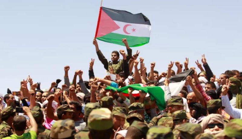 مسؤول صحراوي: الأمم المتحدة انتصرت للشرعية الدولية