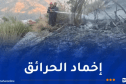 الحماية المدنية: إخماد 25 حريقا عبر عدة ولايات