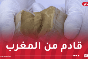 إحباط محاولات إدخال قرابة 3 قناطير من الكيف عبر الحدود مع المغرب